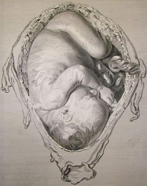 Birth Story